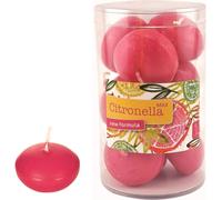 Gala Bougies flottantes Citronella Rose Ø 45 x 30 mm - 100 pièces