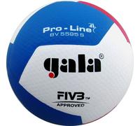 Gala BV5595S Pro-Line ballon de volleyball taille 5