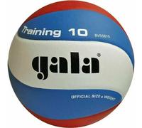 Gala d'entraînement 10 Volley-ball en salle
