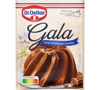 Gala Pudding en poudre au goût de chocolat Dr. Oetker, paquet de 2 100g
