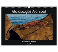 Galapagos Archipel- Faszination Tierwelt (Wandkalender 2026 DIN A3 quer), CALVENDO Monatskalender: Die Tierwelt auf Galapagos ist einzigartig. ... sowie Landleguane bestimmen das Bild.
