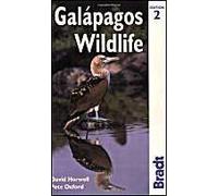 Galapagos Wildlife