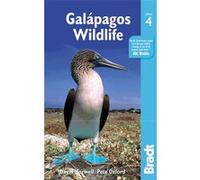 Galapagos wildlife