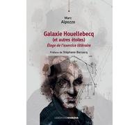Galaxie Houellebecq (et autres étoiles) : Eloge de l'exercice littéraire
