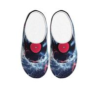 Galaxy Music Record Pantoufles en flanelle pour homme Motif disque de musique Pour intérieur et extérieur, multicolore, X-Small Men/ Large Women