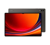 Galaxy Tab S9 Ultra 256GB - Gris - WiFi