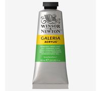 Galeria Acrylic Paint 60ml Tube By Winsor & Newton - Permanent Green Light