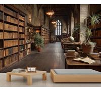 Galerie de livres anciens & Mur peint murale d'architecture gothique, Mur décoratif littéraire traditionnel, Parfait pour un mur d'accent dans une salle d'étude ou une bibliothèque 200x140cm