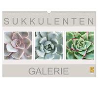 Galerie de plantes succulentes, Version française (Calendrier mural 2026 DIN A3 portrait), Calendrier CALVENDO mensuel