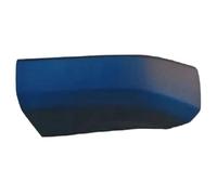 Galeries Toit 5709104XKM01A Cache-Barres de Toit pour Tank 300 Accessoires Avant Arrière Gauche Droite Porte-Bagages Voiture(Left Rear)