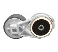 Galet Courroie Pour Ford F-650 F-750 6.0L 2004-2008 1833688C2 3C2Z6B209AC 4C4Z6B209AA 1833688C1 Ensemble Tendeur De Courroie D'entraînement