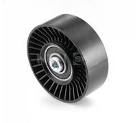 SNR GA350.76 Galet enrouleur de courroie d'accessoire