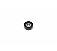 NTN-SNR Galet enrouleur de courroie d'accessoire GA351.16
