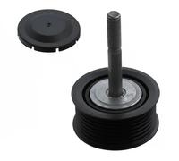 FEBI BILSTEIN 102177 Galet enrouleur de courroie d'accessoire
