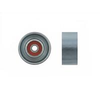 NTY Galet enrouleur de courroie RNK-NS-022 Métal pour Nissan Micra IV/Note/Juke/Qashqai