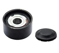 SKF VKM 31028 Galet enrouleur de courroie d'accessoire