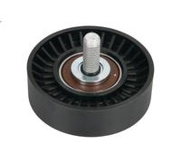 Galet de renvoi de courroie Poly-V BTA E20512BTA pour TERRACAN (HP) 2.9 2001-