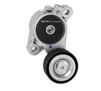 Galet de courroie trapézoïdale 1118305400 JP GROUP pour SEAT VW SKODA