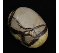 Galet en Septaria de 105 grammes et 60 millimètres, Minéral Septaria de Madagascar, Naturel et Authentique, Pierre Exclusive, Minéral de Collection, Minéral de Bien-être