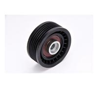 Galet enrouleur de courroie d'accessoire BTA E2R5569BTA