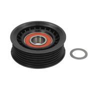 Galet enrouleur de courroie d'accessoire BTA E2X6411BTA
