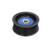 Galet enrouleur de courroie d'accessoire DAYCO APV1119