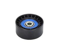 Galet enrouleur de courroie d'accessoire DAYCO APV1121