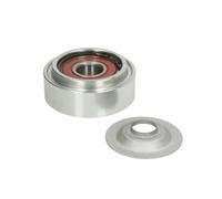 Galet enrouleur de courroie d'accessoire DAYCO APV2399