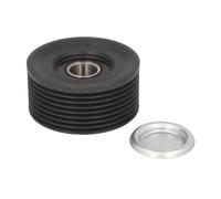DAYCO APV2703 Galet enrouleur de courroie d'accessoire