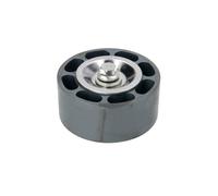 Galet enrouleur de courroie d'accessoire DAYCO APV3143