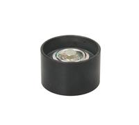 DAYCO APV1099 Galet enrouleur de courroie d'accessoire