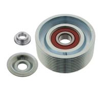 FEBI BILSTEIN 100566 Poulie, tendeur de courroie d'accessoire