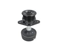 Galet enrouleur de courroie d'accessoire INA 532 0612 10