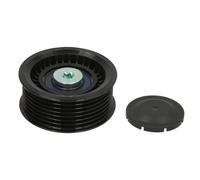 Galet enrouleur de courroie d'accessoire Schaeffler INA 532 0305 10