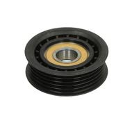 Galet enrouleur de courroie d'accessoire Schaeffler INA 532 0400 30