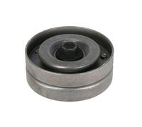 Galet enrouleur de courroie d'accessoire Schaeffler INA 532 0524 10