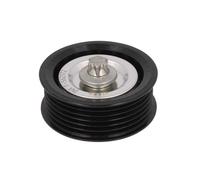 Galet enrouleur de courroie d'accessoire Schaeffler INA 532 0531 10