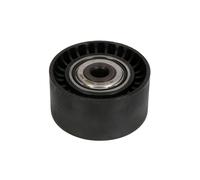 Galet enrouleur de courroie d'accessoire Schaeffler INA 532 0534 10