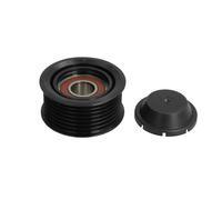 Galet enrouleur de courroie d'accessoire Schaeffler INA 532 0554 10