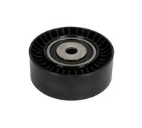 Galet enrouleur de courroie d'accessoire Schaeffler INA 532 0631 10