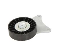 Galet enrouleur de courroie d'accessoire SNR GA359.79