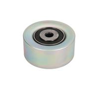 Galet enrouleur de courroie de distribution Schaeffler INA 531 0550 10