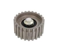 Galet enrouleur de courroie de distribution Schaeffler INA 532 0441 10