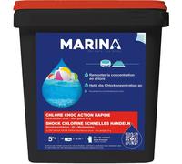 Galet Innovative Water Care Chlore Choc Noir TU
