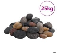Galet poli - vidaXL - 5-8 cm - Couleur mixte - 25 kg - Naturel et décoratif