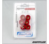 Galet Rouleau De Variateur Doppler Pour Scooter Piaggio 50 Zip 2t Lc 2006 À 2013 Neuf