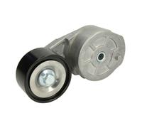 Galet tendeur, courroie d'accessoire BTA B05-AG-051