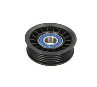 BTA B05-AG-061 Poulie, tendeur de courroie d'accessoire