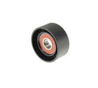 BTA E2R5620BTA Galet tendeur de courroie d'accessoire