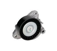 Galet tendeur, courroie d'accessoire BTA E3M0002BTA